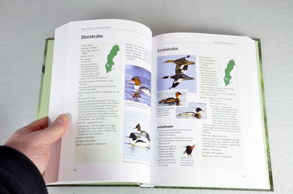 Funderar på att ta jägarexamen